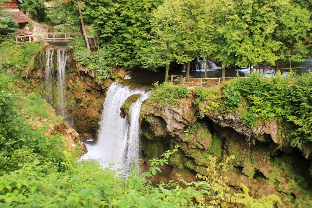 Drenovac