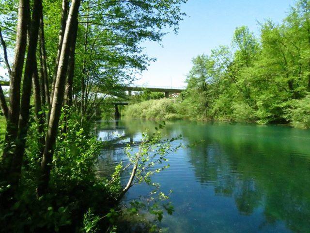 Drenovac *